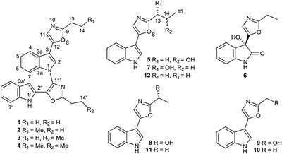 Dimeric Pimprinine Alkaloids From Soil-Derived Streptomyces sp. NEAU-C99